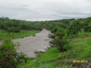 La presita y su entorno, 21. Normalmente seco, el arroyo durante los aguaceros de junio